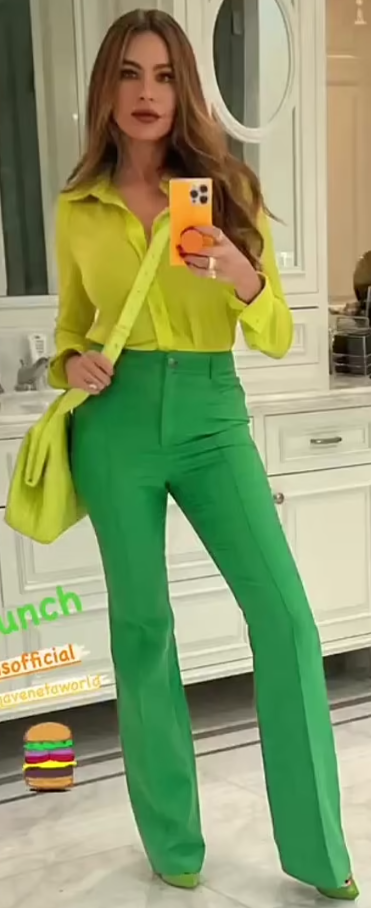 Who made Sofía Vergara's green pants and yellow shirt? – OutfitID