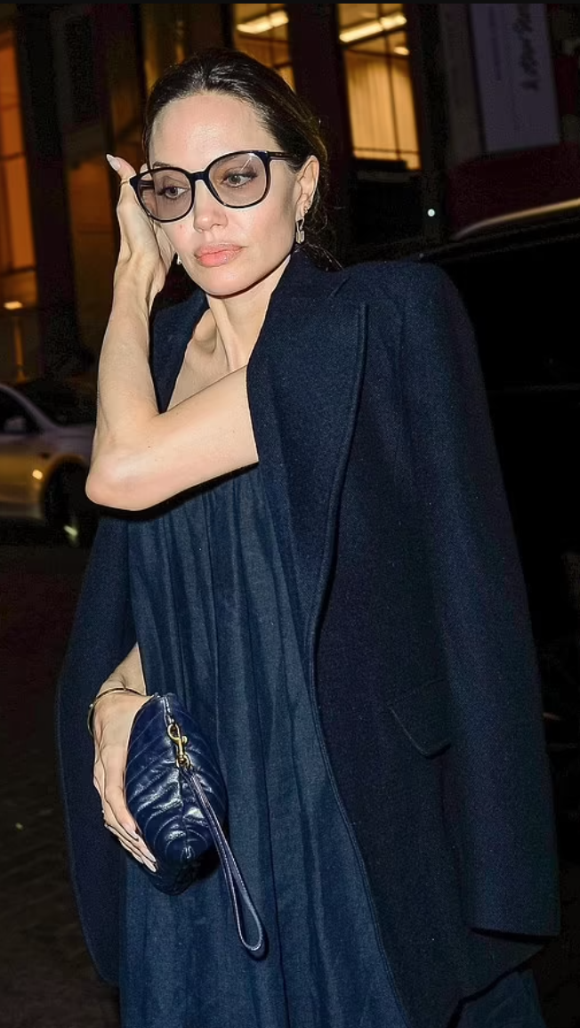 Angelina Jolie – OutfitID